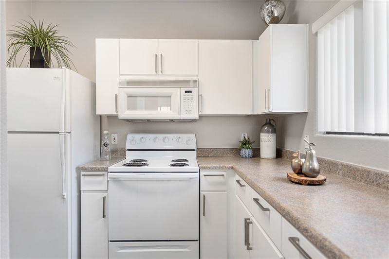 Apartment kitchen — representative home at The Cove Apartments.