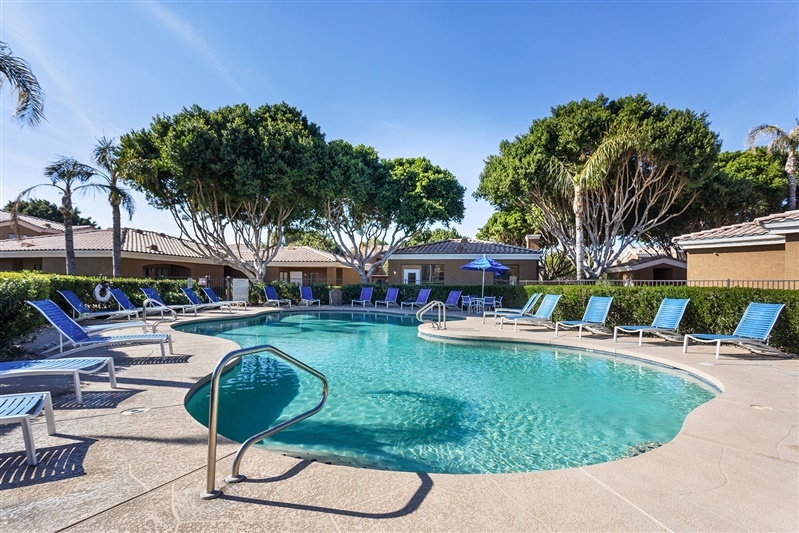 Pool and poolside area at The Cove Apartments.